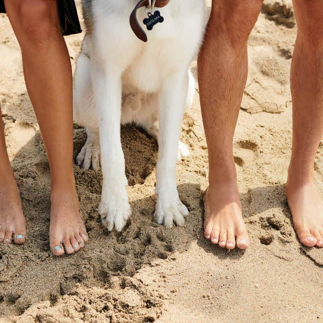 OPIさんのインスタグラム写真 - (OPIInstagram)「We are paw-sitive 🐶 that #OPIProSpa is the answer for your pedicure needs this summer. Who has a beach day planned, and more importantly, are your paws beach day ready?! #Pedicure👣  #OPIObsessed⁠ ⁠ #BeachDayEveryday #DogsAtTheBeach #Paws #dogs #manipedi #SpaPedicure #SummerNails⁠」7月3日 2時00分 - opi