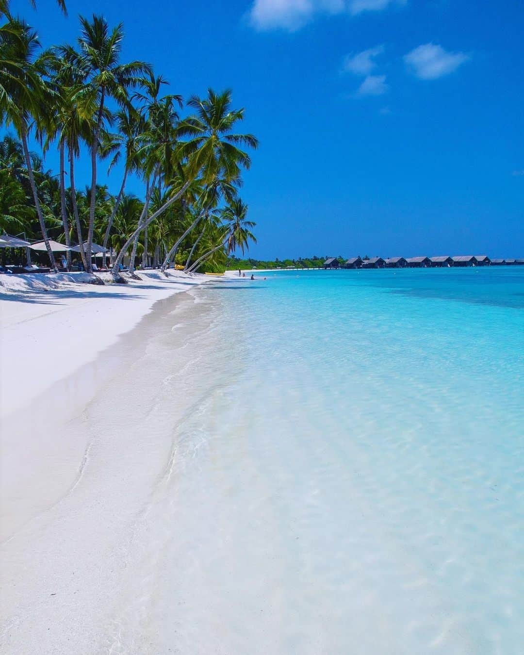 Hatice Korkmaz The Color Queenのインスタグラム：「Heaven on earth💙🌴 #maldives #nature #sea #love」