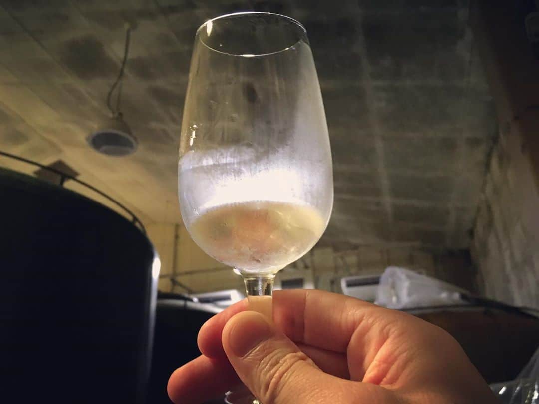 ひぐち君さんのインスタグラム写真 - (ひぐち君Instagram)「「日本のワインを愛する会」のワイナリーツアーに２日目(安曇野、松本)から合流させていただきました。  まずは西飯田酒造店へ。江戸時代末期創業の日本酒の酒蔵で、九代目の飯田一基さんが東京農業大学で研究していたという花酵母を使用。林檎の花酵母を使った日本酒にはシードルのような香りがあって面白い。花酵母によっては、味わいに酸が出てくるそう。他にも、ワイン酵母と花酵母を使った日本酒や、ワイン樽使用の日本酒など。ワイン造りは七代目から。1997のリースリング、花酵母で醸造したソーヴィニヨンブラン、シードルもお猪口で試飲。  続いては、安曇野ワイン特区第1号のルミリュウへ。元々農協だった建物をワイナリーに。栽培・醸造担当の塩瀬さんがビール好きということもあり、ホップのようなビター感のあるシードル。野外フェスなどにピッタリな味わい。  ランチは旬彩ダイニングばんびへ。ルミリュウの竜眼のオレンジワインやメルローを絶品パスタと共に堪能。地元の名物、安曇野林檎ナポリタン。辰巳会長が皆さんに取り分けるシーンも。  お腹を満たして、サッポロ・グランポレールの安曇野池田ヴィンヤードへ。やはりここは絶景。  続いて、お隣のあづみアップルスイス村ワイナリーの青木原畑。ピノとソーヴィニヨンブランは、なんと樹齢32年。標高はスカイツリーと同じくらいの630m。塩瀬さんの師匠、醸造責任者の内方さんにご案内いただきました。近い将来、カルヴァドスも造る予定だとか。  ラストは、安曇野ワイナリーへ。標高700mの畑には、樹齢12年のシャルドネ、メルロー。林檎のアイスワインは、アップルパイを口に含んだようなニュアンスで女性に好評。  その後、松本市花時計公園で行われていた信州ワインサミットへ。58ワイナリー、134種のグラスワインが、泡/軽めの白/重めの白/軽めの赤/重めの赤に分けてあり、ワイン初心者の方にもソムリエが選んでくれる素晴らしいシステム。若い方も多く、活気のあるイベントでした。  今回ご参加いただいた会員の皆さま、ありがとうございました🍷 #日本のワインを愛する会  #ワイナリーツアー #西飯田酒造店  #ルミリュウ #旬彩ダイニングばんび #安曇野林檎ナポリタン  #グランポレール #あづみアップルスイス村ワイナリー  #安曇野ワイナリー #信州ワインサミット #松本市花時計公園  #日本ワイン 🇯🇵 #japanesewine #vinjaponais  #wine #vin #vino  #winetime #winelover #instawine #wineexpert  #nagano  #日本酒 #sake」7月3日 3時23分 - higehiguchi