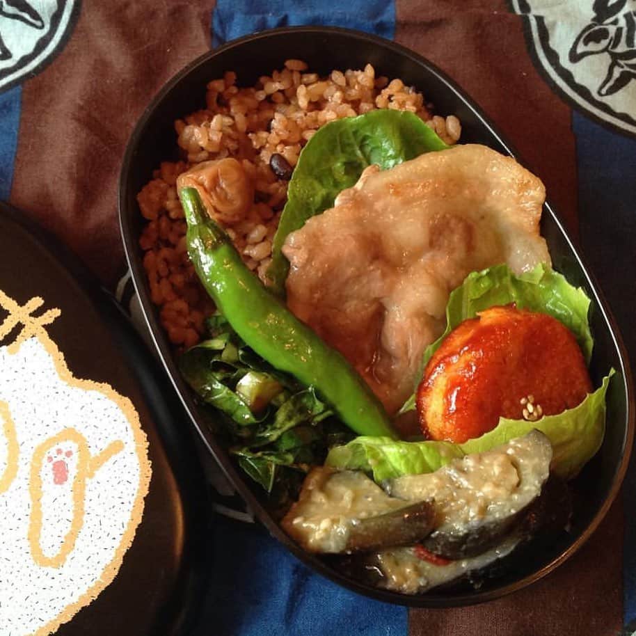 なでしこ健康生活さんのインスタグラム写真 - (なでしこ健康生活Instagram)「Repost from @icchiichinose  きょうは生姜焼き玄米弁当😃 . 葉っぱの細切り炒め物は、米国人から頂いたカラードグリーンという野菜です。 僕は初めて食べたのですが、アメリカではスーパーフードとして売られているらしい。 . キャベツの外側の青い葉っぱに似た感じ😋 . 人参玄米粉モチ なすみそ炒め 焼きししとう 大山の小梅など ・ ご飯は炊いて保温しながら寝かして七日目くらいの玄米。小豆や雑穀も入ってます。まだまだもちもちして美味しいよ😀 . #お弁当 #猫弁当箱 #玄米 #寝かせ玄米 #酵素玄米 #発芽玄米 #生姜焼き弁当 #カラードグリーン #なでしこ健康生活 #なでしこ健康生活公式アンバサダー」7月3日 3時42分 - nadeshiko_healthy_life