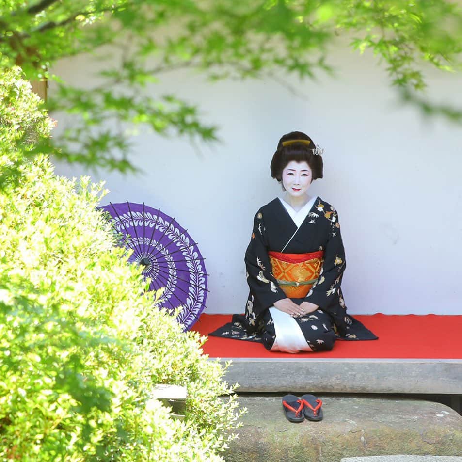 のインスタグラム：「There is no better way to honor the ways of generations past than to immerse yourself in customary activities. Our dear President Akiyo celebrated her heritage by dressing up in traditional Japanese attire on a recent visit to Kyoto, Japan.  #japan #japaneseculture #japanesefashion #kimono #tradition #kyoto #nature」
