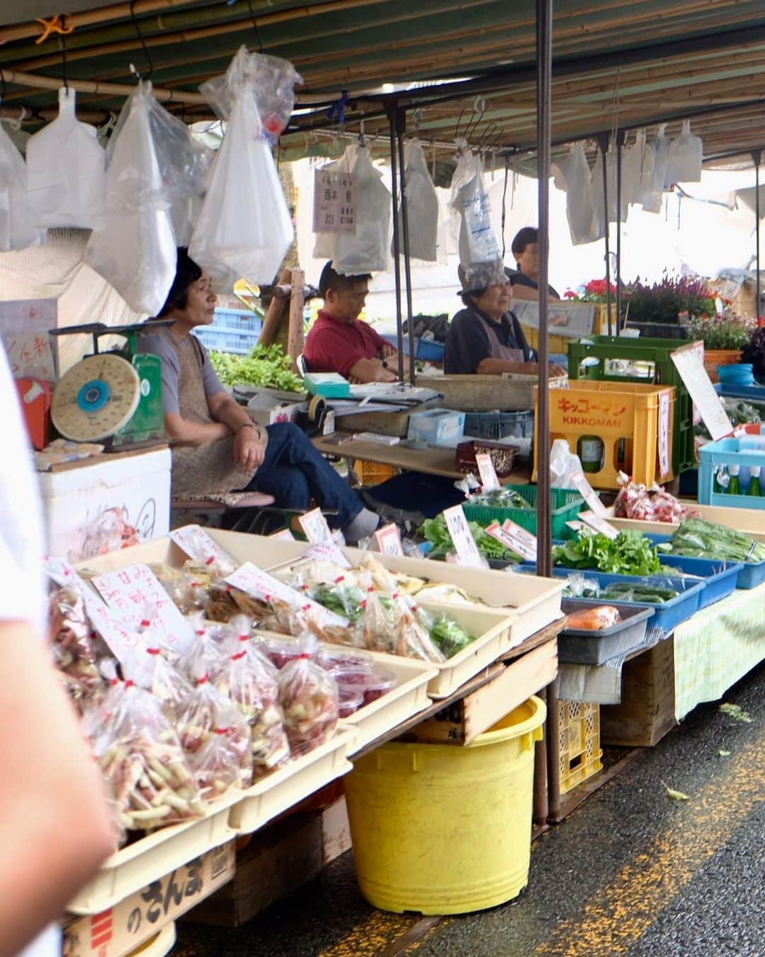 武智志穂さんのインスタグラム写真 - (武智志穂Instagram)「毎週日曜日に高知市追手筋で開かれる「日曜市」。﻿ なんと300年の歴史を持つ伝統文化なんだって✨﻿ ﻿ 高知で採れた野菜や果物などの農産物、お魚や加工品、切り花や植木、手作りのお菓子や衣料品などのお店が約420店ほどズラ〜っと並んでいます。﻿ 採れたて新鮮なのに、東京では考えられない嬉しいお値段で買う事ができるので、わたしも妹も大興奮🤩💕﻿ トランクの半分程たんまりと色々買って帰ってきましたwww﻿ 本当に毎週行きたい。﻿ こんな文化羨ましすぎる…﻿ ﻿ 久しぶりに飲んだ冷やしあめが懐かしかったし、写真4枚目の有機ジンジャーシロップがとっても美味しいからオススメ。﻿ 手作りの柏餅も、芋天も、立ち食い素麺も美味しかったな〜💭﻿ ﻿ ﻿ #わたしの自慢の田舎 #高知 #志穂sTrip﻿﻿ #日曜市 #ファーマーズマーケット #買い物天国」7月3日 11時10分 - shiho_takechi