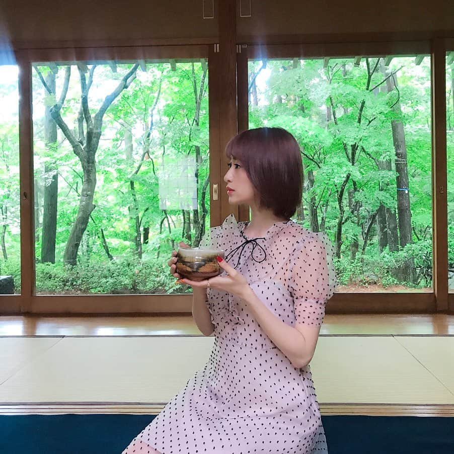 新部宏美さんのインスタグラム写真 - (新部宏美Instagram)「新潟2日目は#木村茶道美術館 へ🌿🍃🌿🍃 * 以前から興味があった、お茶席の体験をさせていただくことができました🍵 しかもここでは国宝級の茶器を使ってお茶がいただけるんです🥺 他の美術館では展示品として触れることなどできない様な茶器に触れられて、とても貴重な体験に自然と背筋もぴんとしてしまいましたっ✨✨ * 私の茶器はNHKの朝ドラでも使用されたとても素晴らしいものだそうですっ🥺 同じお茶席では600万もする茶器もあったとか…すごい世界だ😣 * 日本庭園も素晴らしく、三大紅葉スポットでもあるみたいです🍁秋の紅葉を想像しただけで美しい❣️❣️ みんなにも新潟に来たら是非訪れてみてほしいです😊🍵 * * * あ、質問多いだろうなぁと思ったので、ワンピースは @lissi__boutique のものです👗コーデについてはまた今度紹介したいと思います💗 * * #いいね新潟#日本海美食旅#ガストロノミー#新潟観光#食景色#新潟のつかいかた」7月3日 6時50分 - piromin_1202