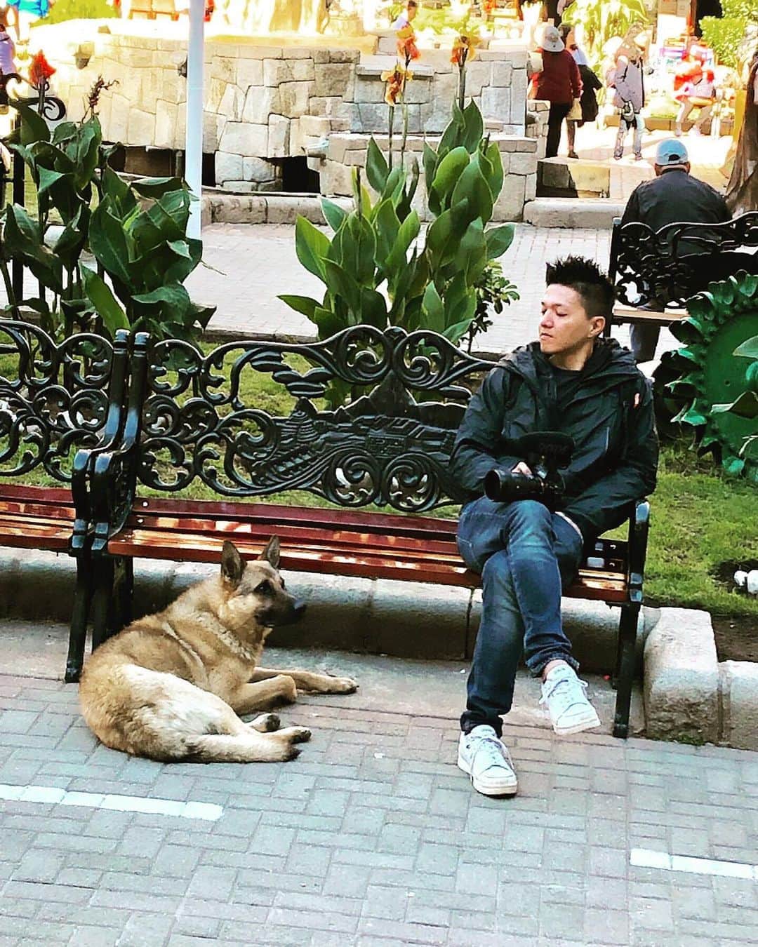高嶋綾也のインスタグラム：「#Peru #🇵🇪 #dog #cat」
