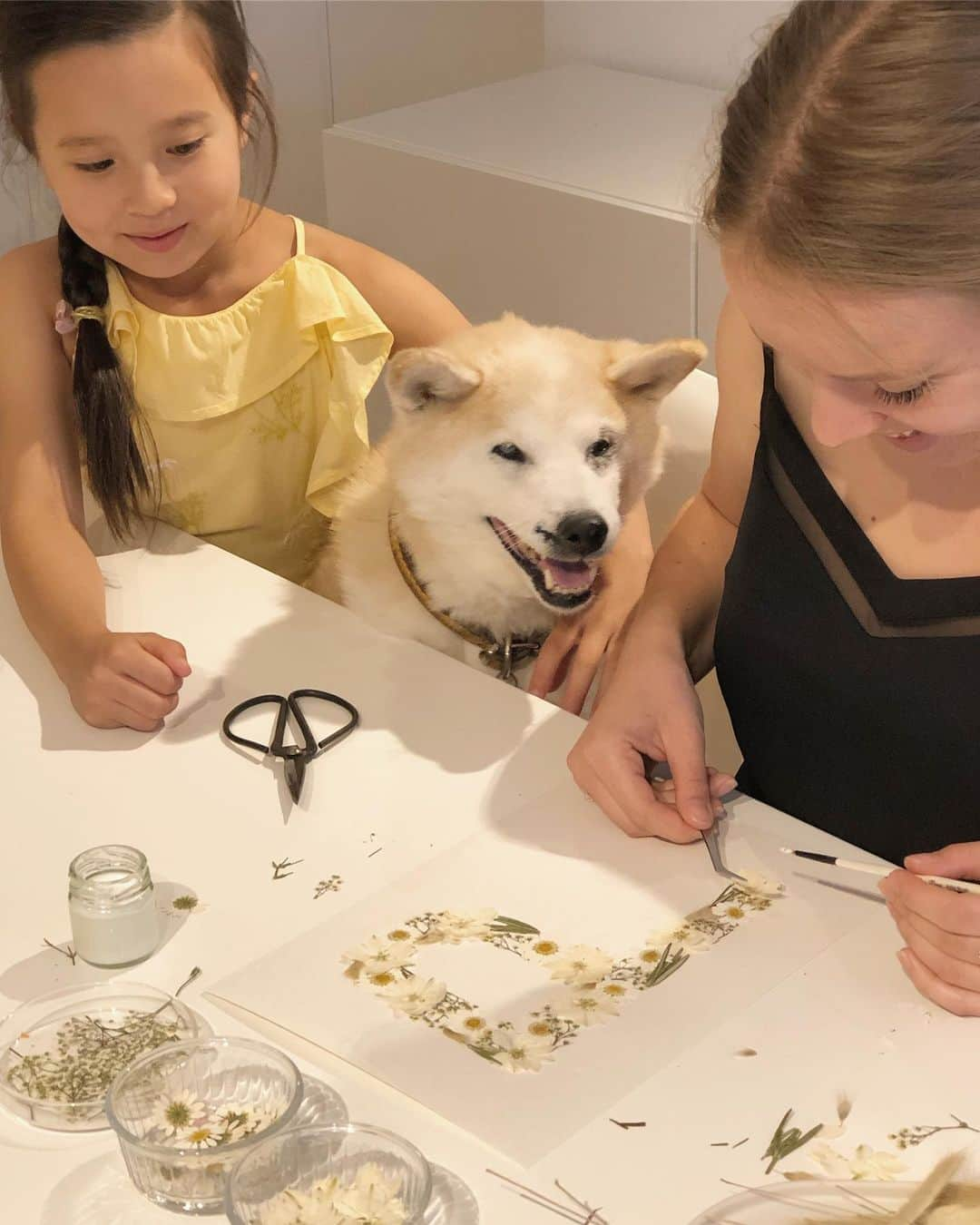 フィロとポンポンさんのインスタグラム写真 - (フィロとポンポンInstagram)「Une invitation au royaume des fleurs et feuilles pressées, belles et immortelles...🌼🌿🌸🍀 #herbarium #herbatelier #natureonyourwalls #pressedflowers」7月3日 7時45分 - philo_pompon