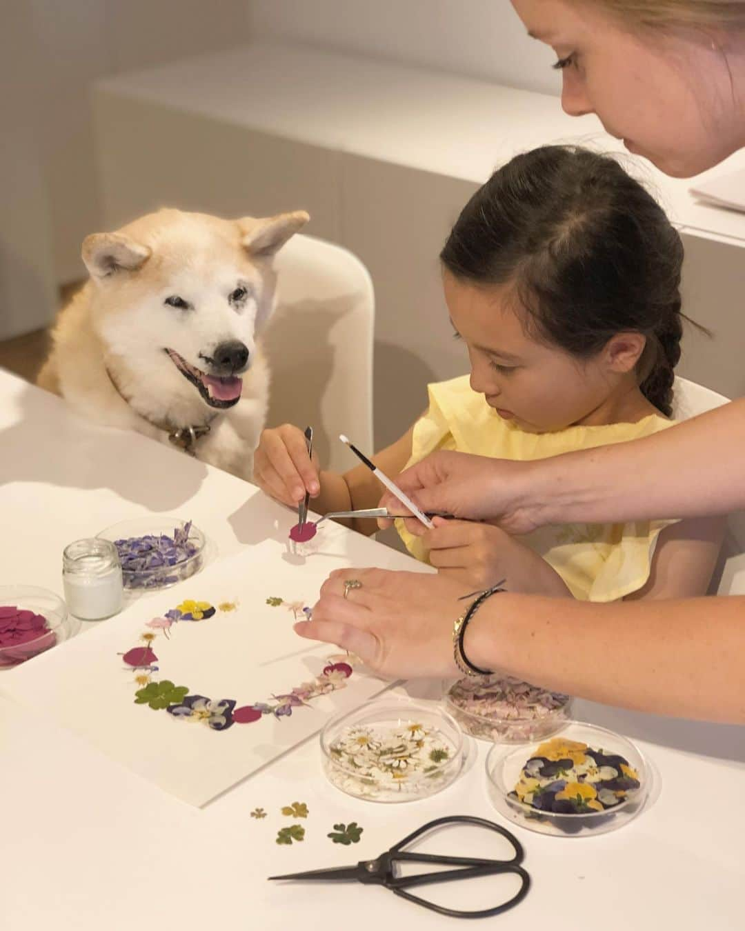 フィロとポンポンさんのインスタグラム写真 - (フィロとポンポンInstagram)「Dans ce petit atelier-boutique du Marais, on compose des herbiers telles des œuvres d’art avec passion et savoir-faire.🌼🌿 Merci à toute l’équipe d’ @herbarium pour cette très belle expérience et particulièrement à @margotmrts pour sa patience et sa gentillesse.☘️🌸 #herbarium #herbatelier #natureonyourwalls #pressedflowers」7月3日 7時54分 - philo_pompon