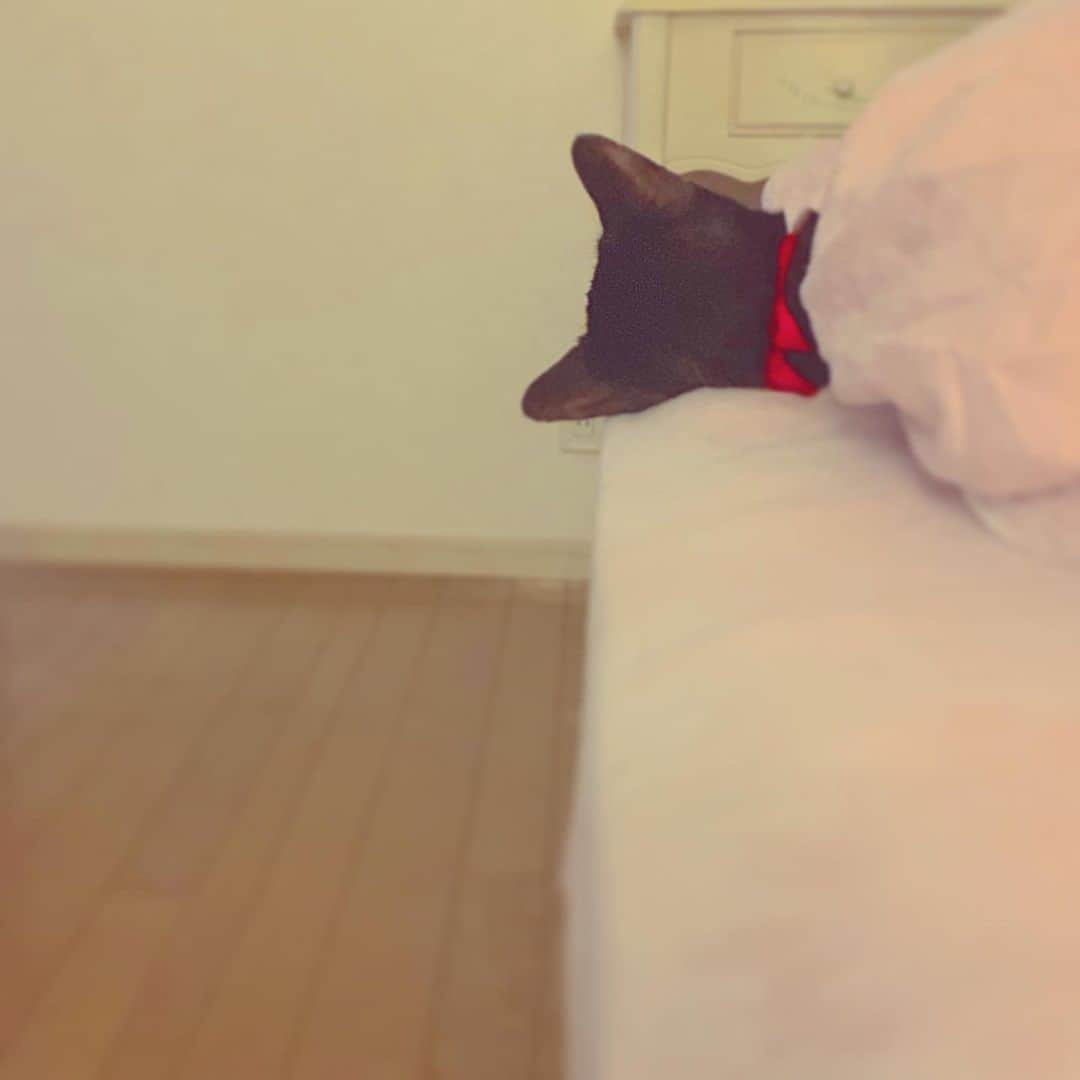 澤田友美のインスタグラム