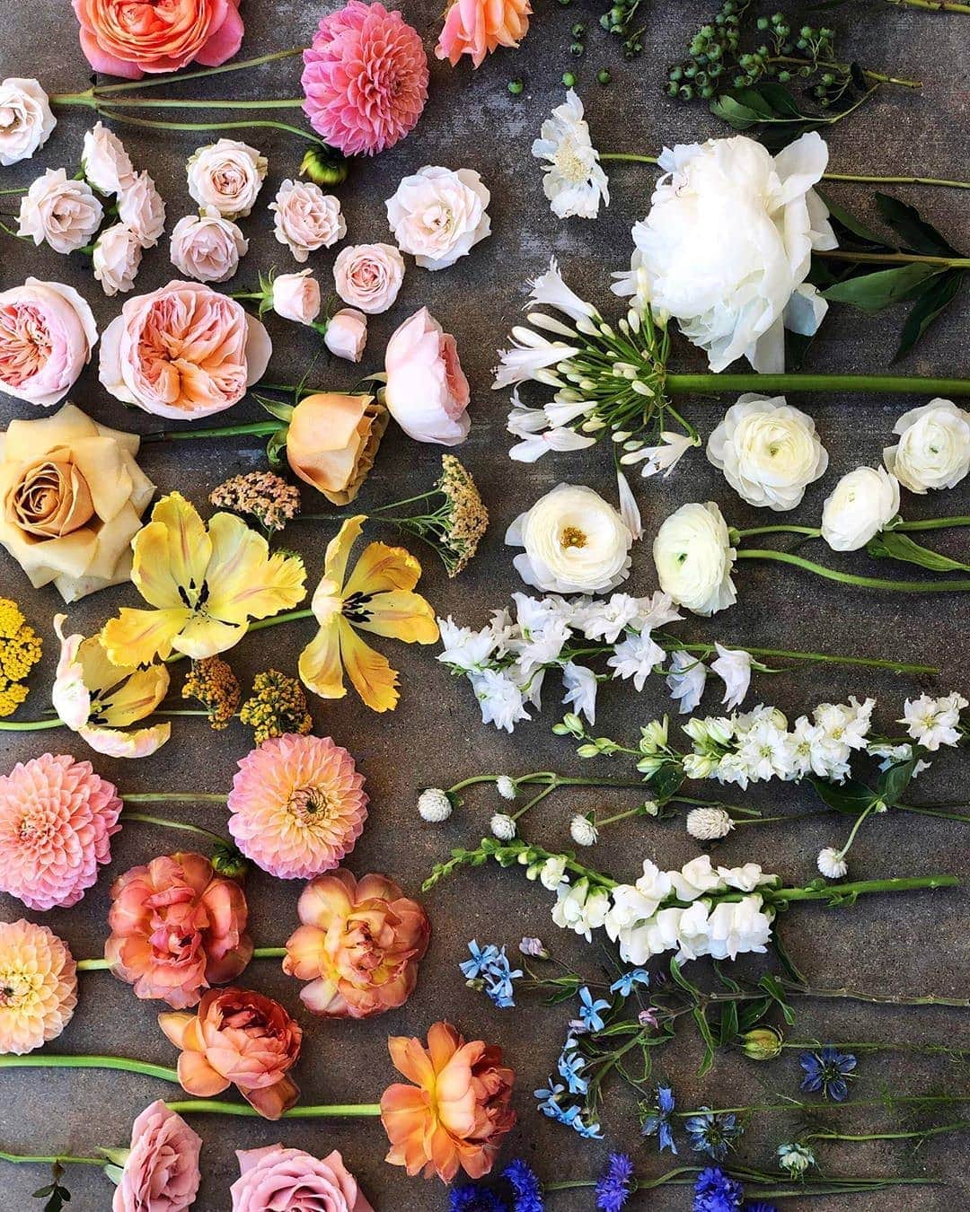 のインスタグラム：「When your left & right brain collide to create perfection.  Which do you prefer: brights or neutrals?  #flowerpower #floral #love #alwaysinspired」