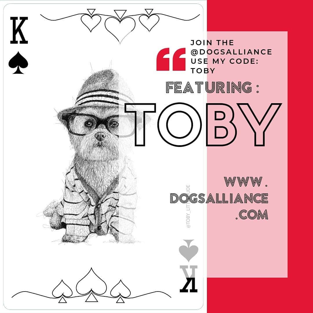 Toby LittleDudeさんのインスタグラム写真 - (Toby LittleDudeInstagram)「❤️ King of Hearts.  I'm featured on a pack of playing cards to help @hkdr_official shelter raise money. Go to www.dogsalliance.com (link in bio) to get your own set of Limited Edition playing cards (featuring yours truly - me and other popular dogs on Instagram). Use code "TOBY" for 7.5% off plus free worldwide shipping. @dogsalliance  #dogsalliance #hkdr_official #instadogs #dogsofinstagram #doglove #dogplay #dogoftheday #ilovemydog #dogsofig #dogs #puppiesinstagram #dogsmile #petsarefamily #dogsarefamily #puppiesofinsta #petsonintagram @donjagermeister @milotoypoodle @milka_theshihtzu @pippa.thechihuahua @lunatheunidog @brimthemastiff @dobermanzeusi @chubbsthewampug @gusthemeatball @koba.gsd @rottie_girl @nessie_mcnubs @smushofficial」7月3日 8時34分 - toby_littledude