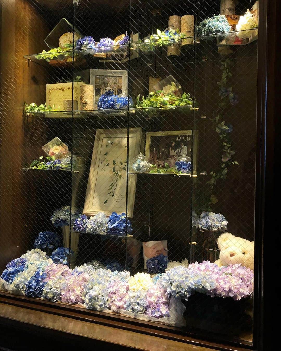 ホテルモントレ札幌さんのインスタグラム写真 - (ホテルモントレ札幌Instagram)「. @h_monterey_sapporo をフォローして #モントレ花嫁 のタグ付けで 素敵なフォトを♪ . 館内のショーウィンドウ♪ 北海道の紫陽花は、 これからが季節ですね🤗 . 〜.〜.〜.〜.〜.〜.〜.〜.〜.〜.〜.〜.〜.〜.〜 モントレ札幌は25周年を迎えました 感謝の気持ちを込めて プロフィール画面URL(ホームページ)より ご確認くださいませ♡ 〜.〜.〜.〜.〜.〜.〜.〜.〜.〜.〜.〜.〜.〜.〜 . #モントレ#モントレ花嫁#モントレ花婿 #プレ花嫁#卒花 #weddingdress#ドレス#タキシード #wedding#dress#結婚式場 #日本中のプレ花嫁さんと繋がりたい #北海道花嫁#札幌花嫁 #ブライダルフェア#bridalfair #結婚式#披露宴#パーティ #2019年夏婚#2019年秋婚 #2019年冬婚#2020年春婚 #ホテルウエディング #撮影指示書#ヘアメイク #クラシカルウエディング」7月3日 9時13分 - h_monterey_sapporo