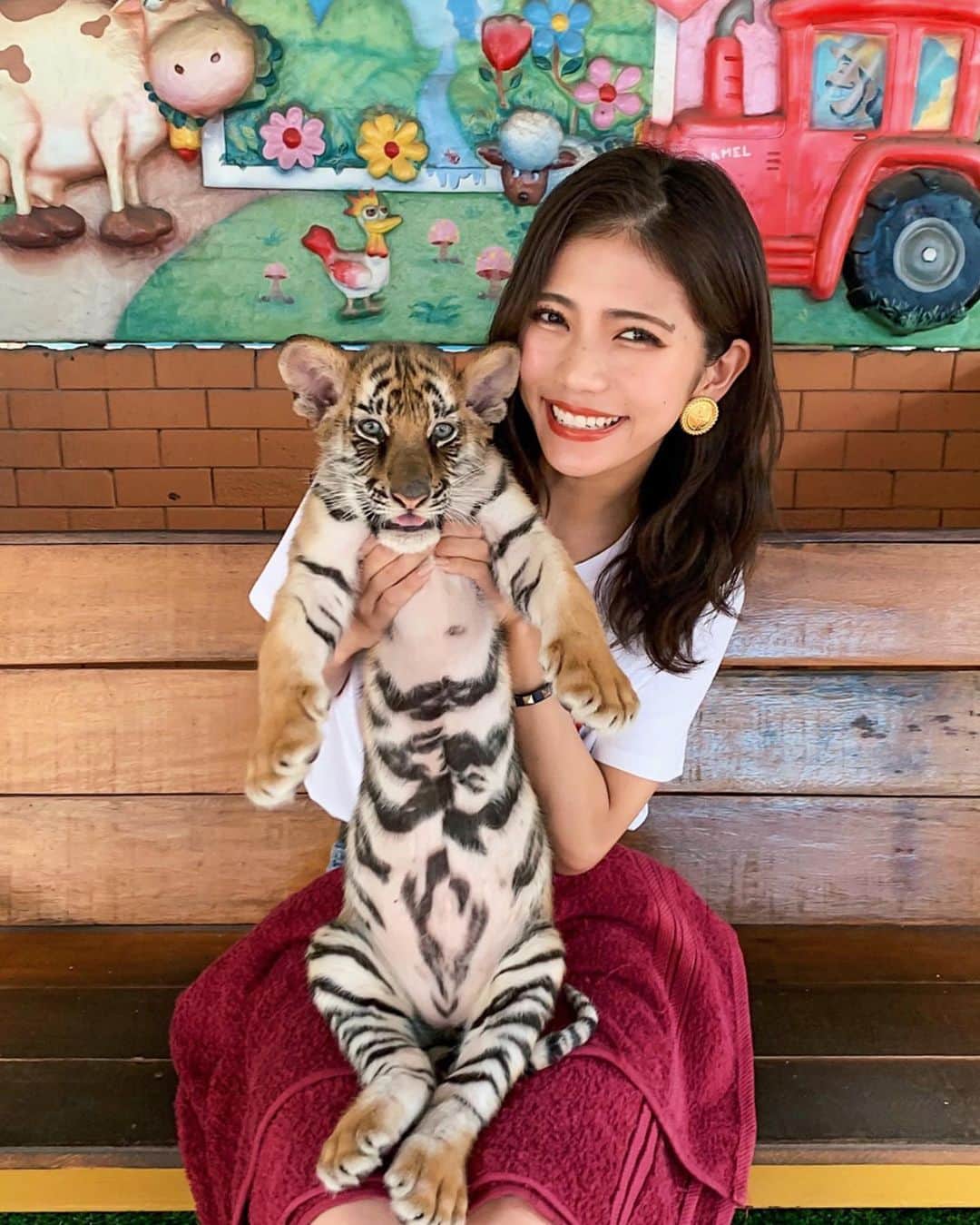 のインスタグラム：「Tiger Zoo🧡 ＊ 今回の大大大本命、 赤ちゃんトラ抱っこ🥺💕 ＊ もうほんまに可愛すぎやし 赤ちゃんたまらん♡♡ 思わず顔スリスリしたわ← (かなはこの大きさでもびびってた笑) ＊ 早い時間に行ったからか人も少なくて 結構長い時間抱っこできたし 写真も全然撮らせてくれた🙆🏻‍♀️ ＊ ＊ その後くしゃみ止まらんくなって あれ？ってなって気づいたんやけど 虎で猫アレルギー出たかもしらん😂w ネコ科は一緒なんかな(笑) ＊ ＊ ＊ #シラチャータイガーズー #虎 #タイ #タイ旅行 #旅行 #女子旅 #タビジョ #tiger #babytiger #trip #tabijyo #tabimuse #traveler #instagood #marika_trip」