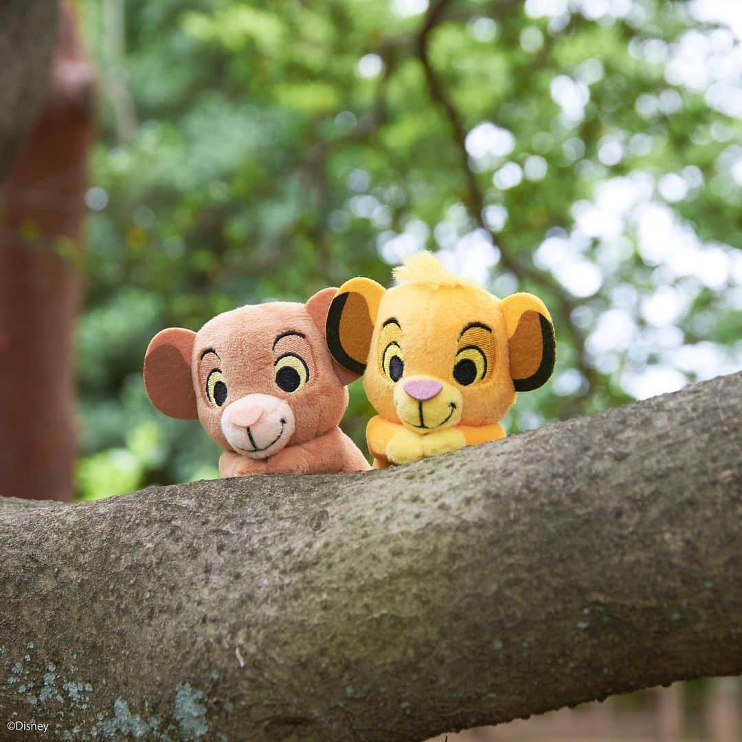 ちょっこりさん【公式】のインスタグラム：「#20190703 * 冒険に出た二人は、何かを見つけたみたい！ * ライオンキングちょっこりさん 7月下旬発売予定 * #ちょっこりさん #ディズニー#ディズニーグッズ #ぬい撮り#ぬいぐるみ #chokkorisan#disney #takaratomyarts #ぬいぐるみと撮り隊 #disney写真部 #ディズニーグッズ #ちょっこりさん好きな人とつながりたい」