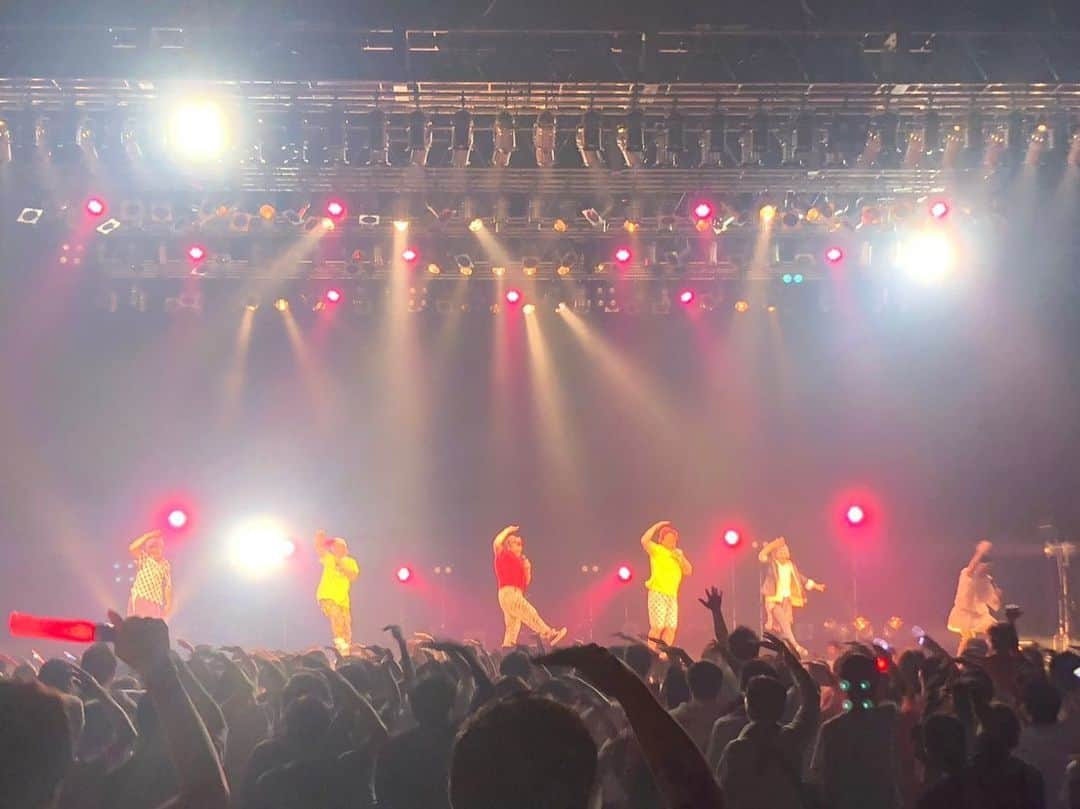 伊藤俊一さんのインスタグラム写真 - (伊藤俊一Instagram)「濱ＤＡフェス！！ Zepp DiverCity！！！ 『今日は売れた！』 って気になっちゃう勘違いを よくするのですが今回は 『え？これは、、勘違いじゃないかも！！！』って思っちゃうぐらいの 勘違いしてしまいました！  でも写真いただいたの見たら 『いや、、売れたんじゃ？？』と 思ってしまいました！  で！結果売れてないのですが 売れたいなーって思いました！ 個人的にも禿夢でも 売れたいですやっぱり。  共演者の皆様も 素晴らしかった！！ いっぱい観に行って ステージ出てって うろちょろとしまくりました！」7月3日 19時19分 - itou5275