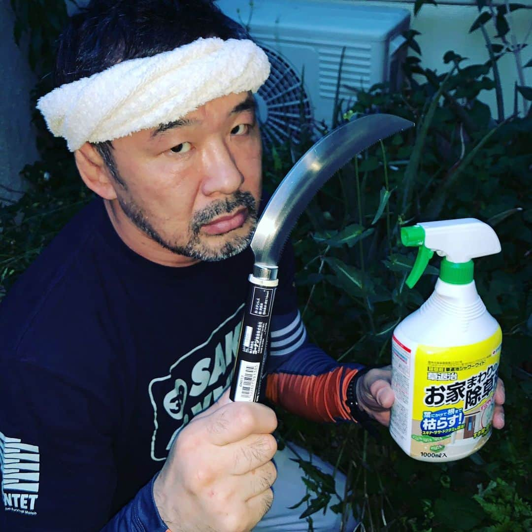 saku39shopさんのインスタグラム写真 - (saku39shopInstagram)「. 【Mowing】 . 草刈ますお。 . #sakuraba #草刈り」7月3日 19時20分 - saku39ks