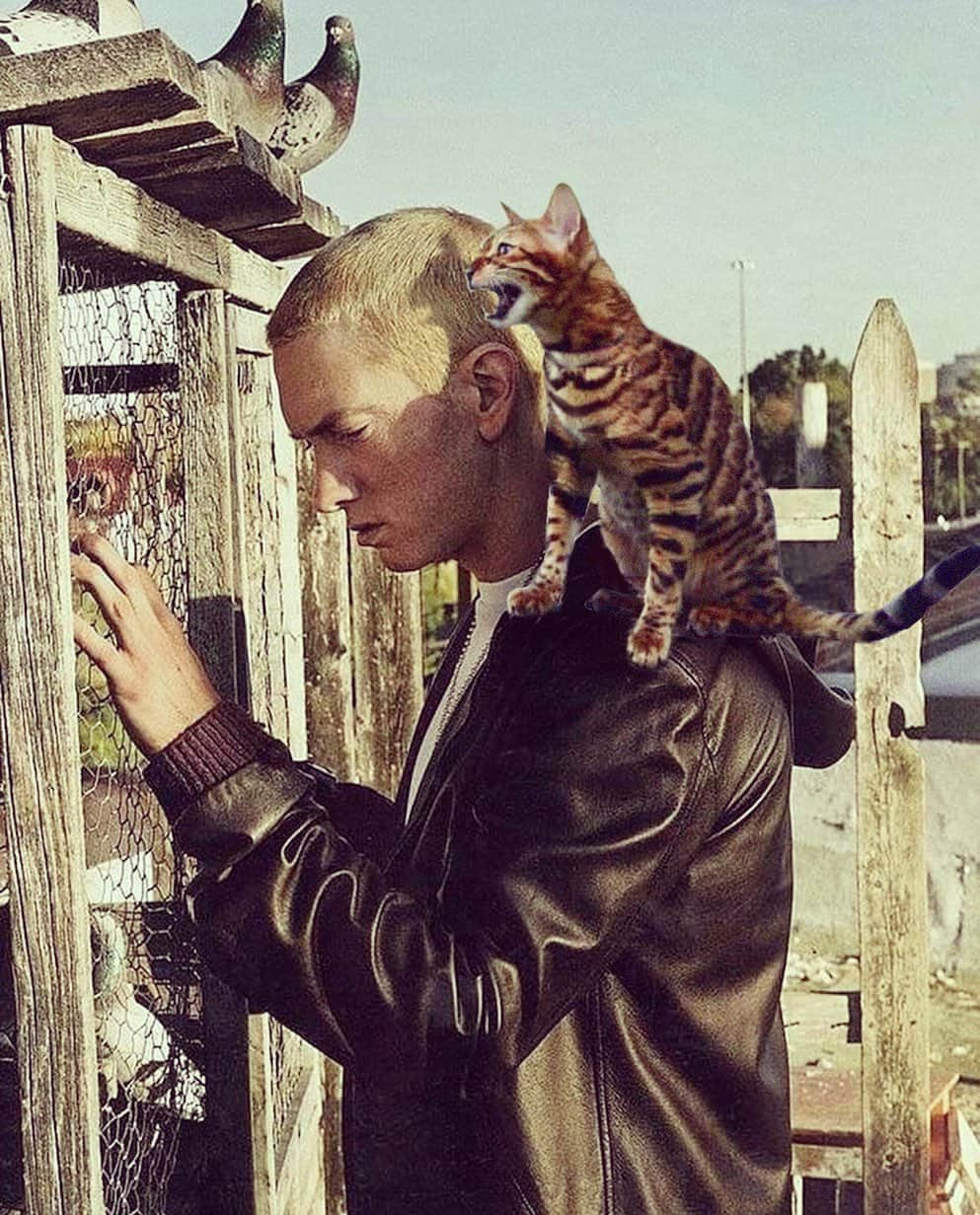 Celeb Bengal Cat · Simbaのインスタグラム：「Hey! 👊🏻 Make a Caption For the Photo.  If you 💛🕊🖤 my collage, click link in BIO #funny #eminem #celebrity #simba #cat」