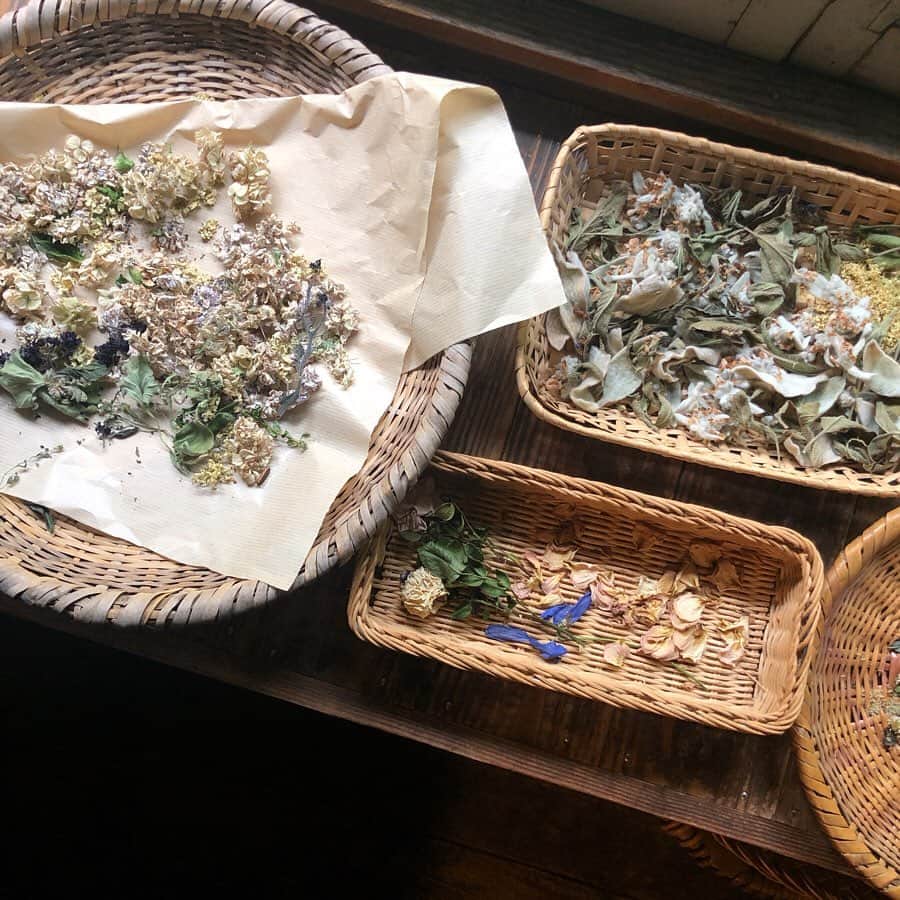 HERVA AKICOさんのインスタグラム写真 - (HERVA AKICOInstagram)「好きなお店の一つ。  @herbalnote_simples  バラクライングリッシュガーデン、cucina kimuraさんからも近くです。  ハーブ好きにはたまらない場所ですよね。萩尾さんの本も好き。  夕立の中、長野の旅は終了。夕立に合うとこの日を思い出す。思い出したいと思う素敵な1日でした。  #旅の思い出#茅野#herbalnote#ハーブ#アロマ」7月3日 20時01分 - herva_akiko