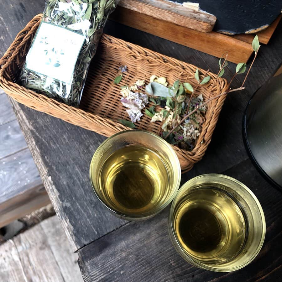 HERVA AKICOさんのインスタグラム写真 - (HERVA AKICOInstagram)「好きなお店の一つ。  @herbalnote_simples  バラクライングリッシュガーデン、cucina kimuraさんからも近くです。  ハーブ好きにはたまらない場所ですよね。萩尾さんの本も好き。  夕立の中、長野の旅は終了。夕立に合うとこの日を思い出す。思い出したいと思う素敵な1日でした。  #旅の思い出#茅野#herbalnote#ハーブ#アロマ」7月3日 20時01分 - herva_akiko