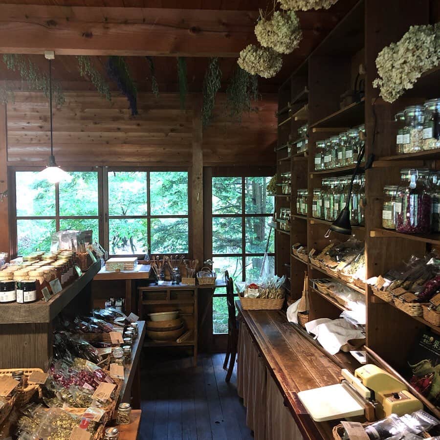 HERVA AKICOさんのインスタグラム写真 - (HERVA AKICOInstagram)「好きなお店の一つ。  @herbalnote_simples  バラクライングリッシュガーデン、cucina kimuraさんからも近くです。  ハーブ好きにはたまらない場所ですよね。萩尾さんの本も好き。  夕立の中、長野の旅は終了。夕立に合うとこの日を思い出す。思い出したいと思う素敵な1日でした。  #旅の思い出#茅野#herbalnote#ハーブ#アロマ」7月3日 20時01分 - herva_akiko