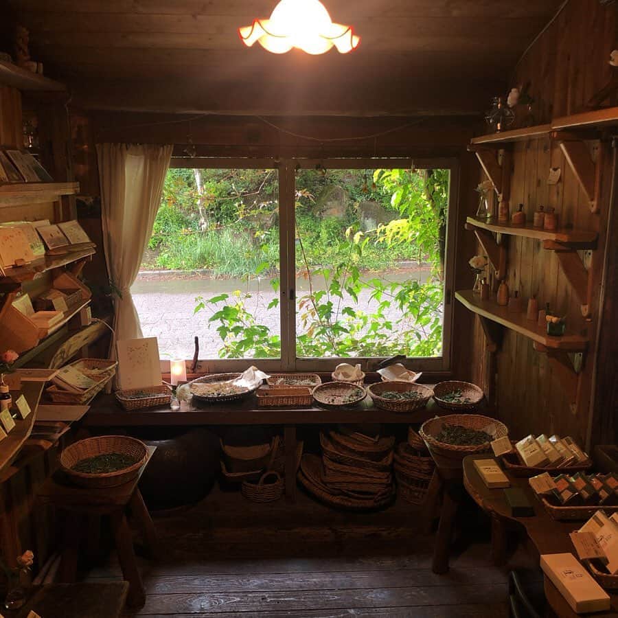 HERVA AKICOさんのインスタグラム写真 - (HERVA AKICOInstagram)「好きなお店の一つ。  @herbalnote_simples  バラクライングリッシュガーデン、cucina kimuraさんからも近くです。  ハーブ好きにはたまらない場所ですよね。萩尾さんの本も好き。  夕立の中、長野の旅は終了。夕立に合うとこの日を思い出す。思い出したいと思う素敵な1日でした。  #旅の思い出#茅野#herbalnote#ハーブ#アロマ」7月3日 20時01分 - herva_akiko