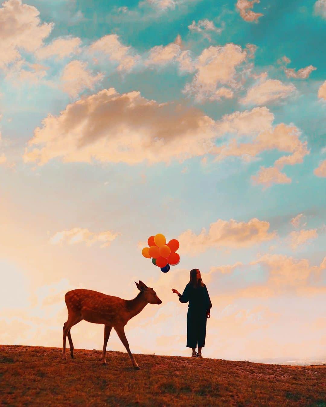 wacameraのインスタグラム：「#若草山 に恋して早8年。」