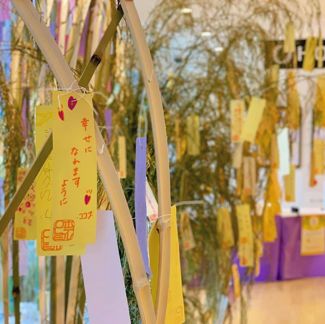 ホテルオーレ　ブロッサモーレのグルメインスタ