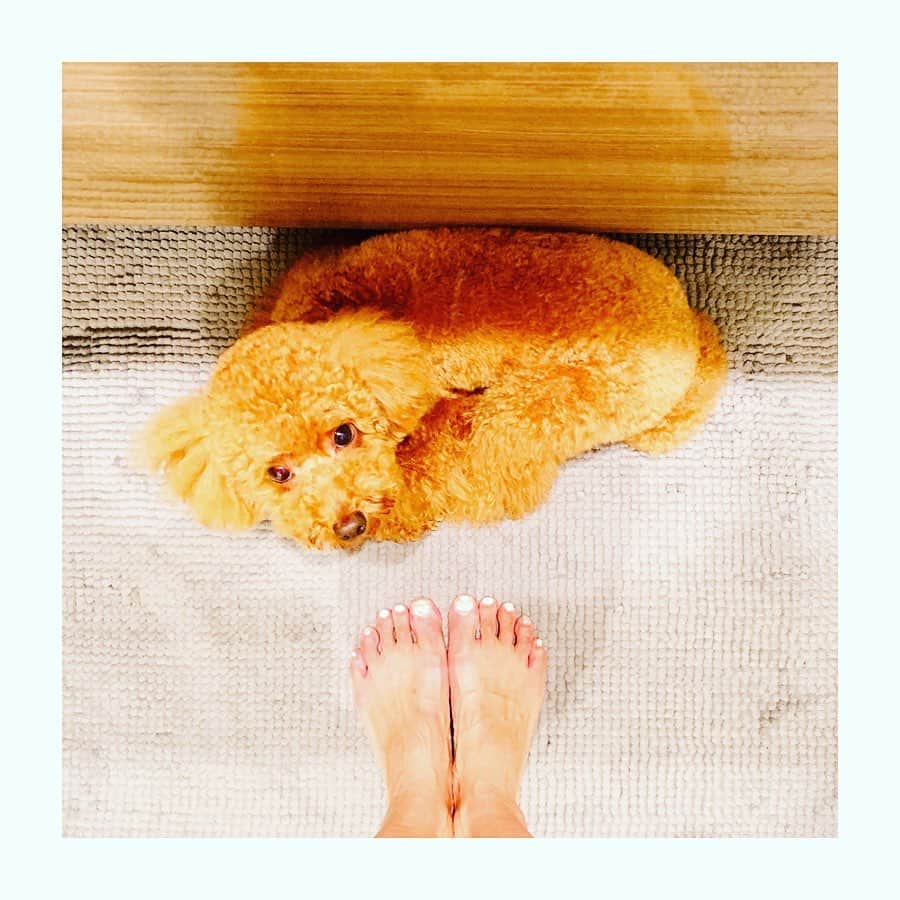 坂田陽子のインスタグラム