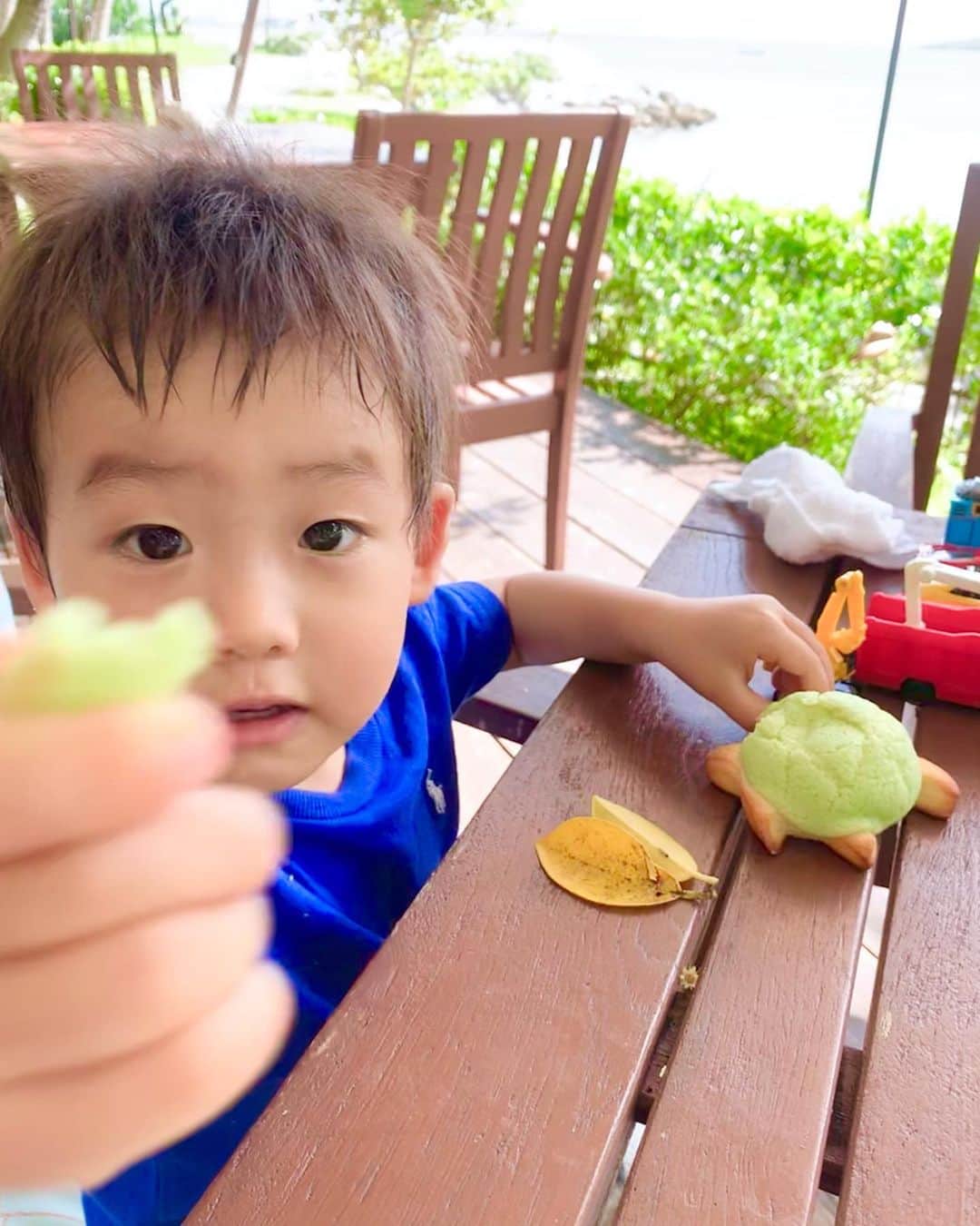 のインスタグラム：「亀さんメロンパン🥐💓 可愛いー😂💓 普段はタンパク質ババアなママも旅行中だし、亀さんパンの可愛さに惹かれてあげちゃってます😂💓（笑） ・ ・ ・ ・  #ブランチ #ワッフル #フレンチトースト #ホテル朝食 #デリスタグラム #デリスタグラマー #delicious #delistagrammer #instafood #foodstagram #foodpics #foodporn #グルメ #グルメ女子 #グルメ好き #ランチ #hugmug_cafebu #子連れランチ #テラス #テラスランチ #スイーツ女子 #スイーツ好き #sweets #ケーキ #cake #instadessert #dessert #お菓子 #デザート」