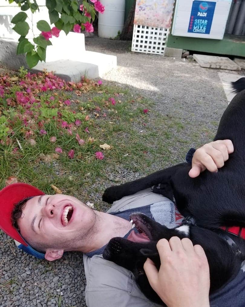 Nolan Gouldのインスタグラム：「I made friends with a random dog in Antigua and I can't tell who's smiling more.」
