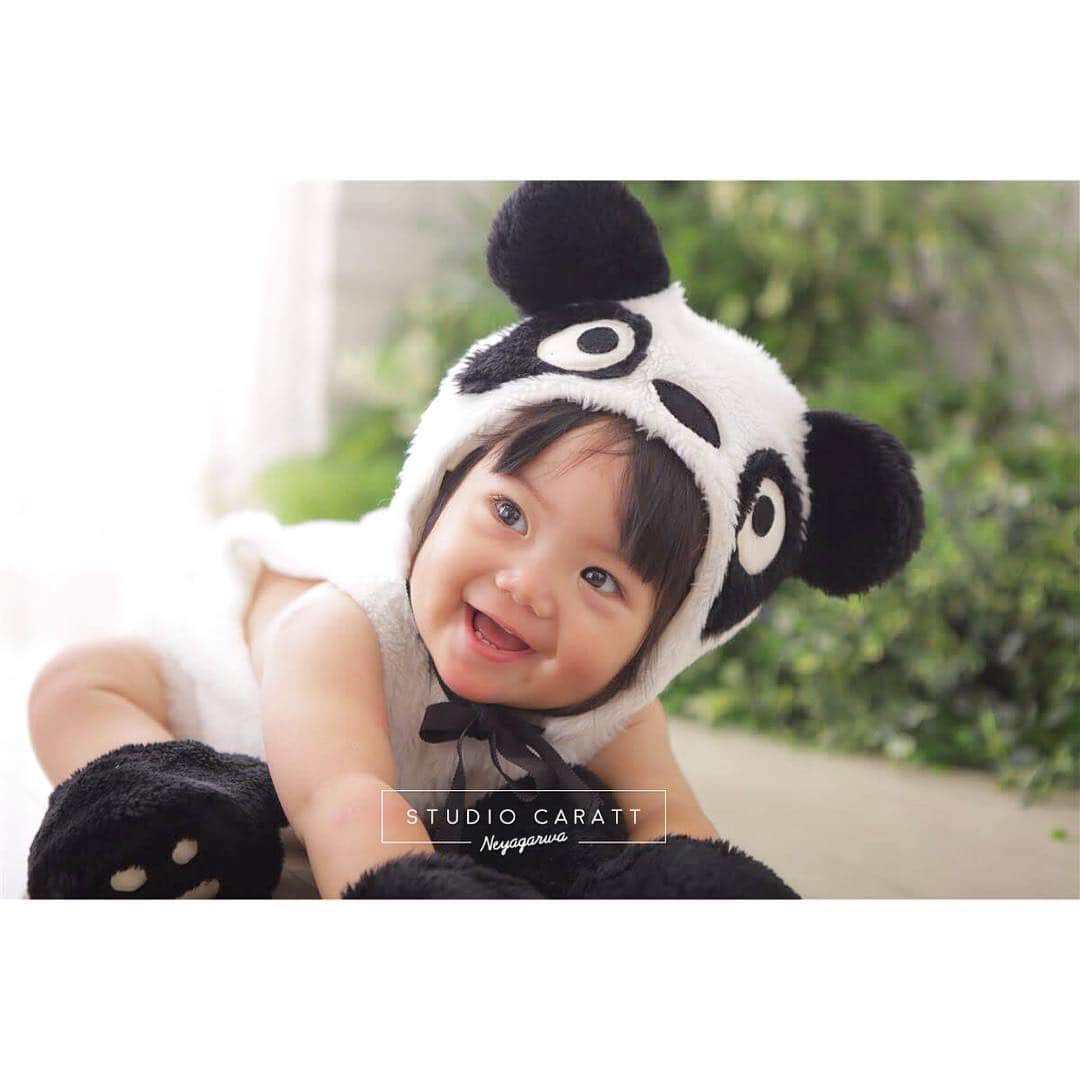 のインスタグラム：「. . . 可愛いパンダさん🐼♡ バースデーの撮影でした♩ . . #スタジオキャラット #studiocaratt #寝屋川店 #ビバモール寝屋川 #neyagawacity #フォトスタジオ #キッズスタジオ #キッズコーデ #キッズフォト #instagood  #ig_japan #igjp #l4l#like4like  #バースデー #新作衣装 #可愛い #photo #フォトジェニック #着物#関西#大阪」