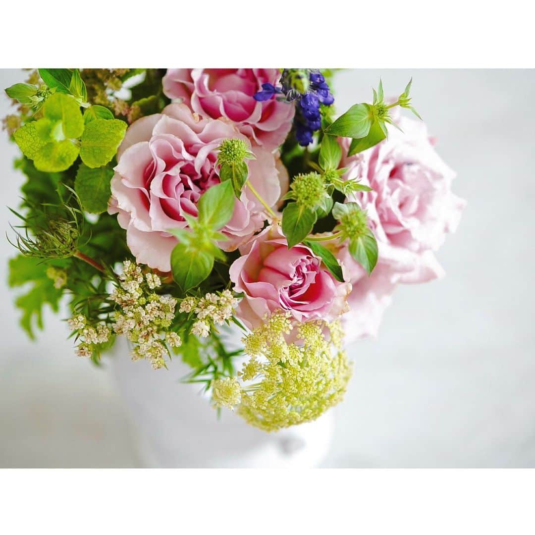 石井美保さんのインスタグラム写真 - (石井美保Instagram)「どんよりお天気でもお花があると朝から気分がいいですね。頂いたお花が、再び @migiwa_flower さんのアレンジメントでした✨ハーブ🌿の香りとバラの香りが混ざり合ってアロマ効果抜群。 @dr.eri_takahashi_official @hirominarasaki @shinoko0218 、皆さんありがとうございます😊感激でした🙏」7月3日 14時06分 - miho_ishii