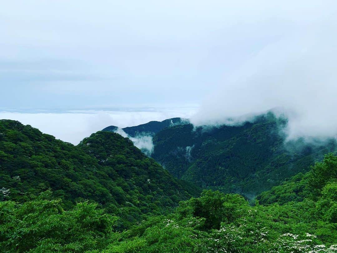 中邑真輔さんのインスタグラム写真 - (中邑真輔Instagram)「Mountains vibes」7月3日 14時38分 - shinsukenakamura