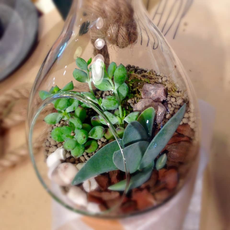 TODAY'S SPECIALのグルメインスタ