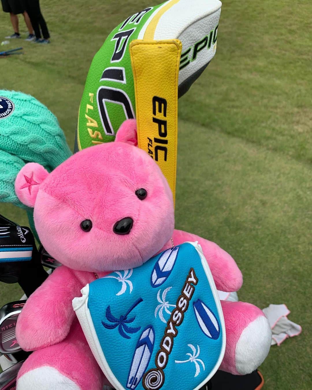 佐伯三貴のインスタグラム：「Newヘッドカバー&パターカバー😍❤️💚💙💜 #キャロウェイゴルフ #callawaygolf  #キャロウェイエピックフラッシュ #epicflash #オデッセイゴルフ #odysseygolf #pinkbear」
