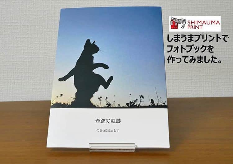 しまうまプリント【公式】フォトブック無料企画開催中さんのインスタグラム写真 - (しまうまプリント【公式】フォトブック無料企画開催中Instagram)「伝えたい気持ちをフォトブックに🌈 . . 本日ご紹介するのは 第3期 #しまうまアンバサダー の  @noranekophotos さまのフォトブック❣️ . . 幻想的な素敵な表紙ですね✨  @noranekophotos さまの伝えたいきもちがぎゅっと詰まったフォトブックとなっております。 文字をたくさん入れたい方はパソコンで作成されるのをおすすめします😊 . 作り方もとーってもご丁寧に紹介いただいているのでぜひ、元投稿を見に行ってくださいませ❣️ . . . ....................... Repost from @noranekophotos ・・・ #しまうまプリント でカンタンにできるフォトブック。  いつもお世話になっておりますしまうまプリント(@shimaumaprint )さまより  #しまうまアンバサダー をご拝命いただきました！  さっそくパソコンを使った フォトブックを作成する流れをご紹介させていただきます。  今回は7月の展示テーマである 「動物の交通事故死(ロードキル)」についての 周知啓発用冊子を作成しました。  このフォトブックで 救える命はある。と信じて 作成しました。  作成用のページは 操作がとてもカンタン。  専門的な知識は必要ありましせん。  ほぼ「直感操作」で作成する事ができます。  細やかな構成も可能ですが、 「自動配置」機能を使えば あっという間にフォトブックが完成されます。  配置はおまかせでオーケーなら 最短で、1時間もかからず完成します。  何より嬉しいのは とってもリーズナブル。  1冊あたりの金額が、 ちゅーる5本入りと同じ！  いなばっ！  フォトブックは 写真の魅力を無限に高める ステキなブースターです。  ケータイやパソコンの画面とは また違う感覚を味わう事ができます。  ページをめくる。 というワクワクを  誰にでも気軽に作り出せるなんて 嬉しい世の中になりましたね！  ぜひともフォトブック作成にチャレンジしてみてはいかがでしょうか？  #しまうまプリント  #フォトブック #ケータイアプリもあります #写真集  先着10名様に今回作成しましたフォトブックを差し上げます。 ダイレクトにてご連絡下さいませ」7月3日 16時31分 - shimaumaprint