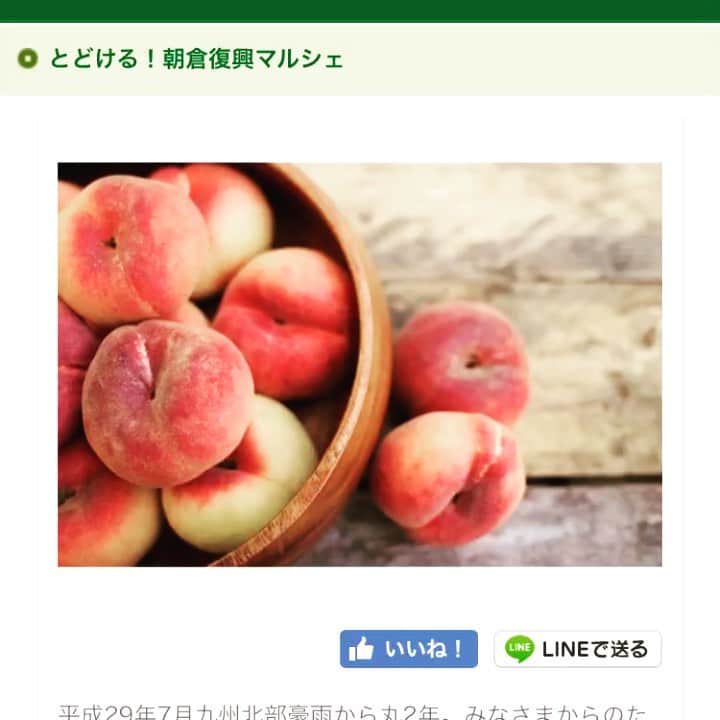 福岡超新鮮野菜/フレラボ薬院店のインスタグラム：「【7/5〜15 木の葉モール橋本】  10日間限定！ 木の葉モール橋本にて イベント致します🙏🏻 . . 場所:館内1F さくらコート 時間:10〜19時  #木の葉モール橋本#とどける株式会社#すぐベジ#うまちょ#八百屋#wework#ケータリング#農業#野菜#果物#agriculture#vegetable#fruit」