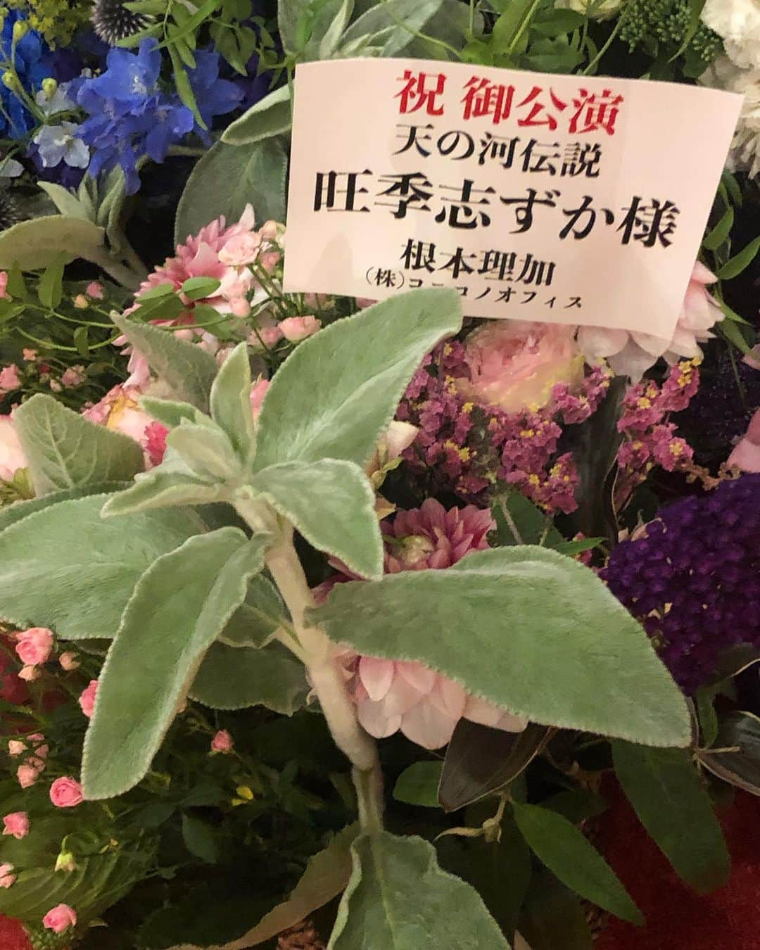 旺季志ずかさんのインスタグラム写真 - (旺季志ずかInstagram)「お花をたくさんいただきました！  ありがとうございます❤️ 間もなく初日の幕が開きます。  ワクワクドキドキ  #天の河伝説」7月3日 17時20分 - shizuka_ouki