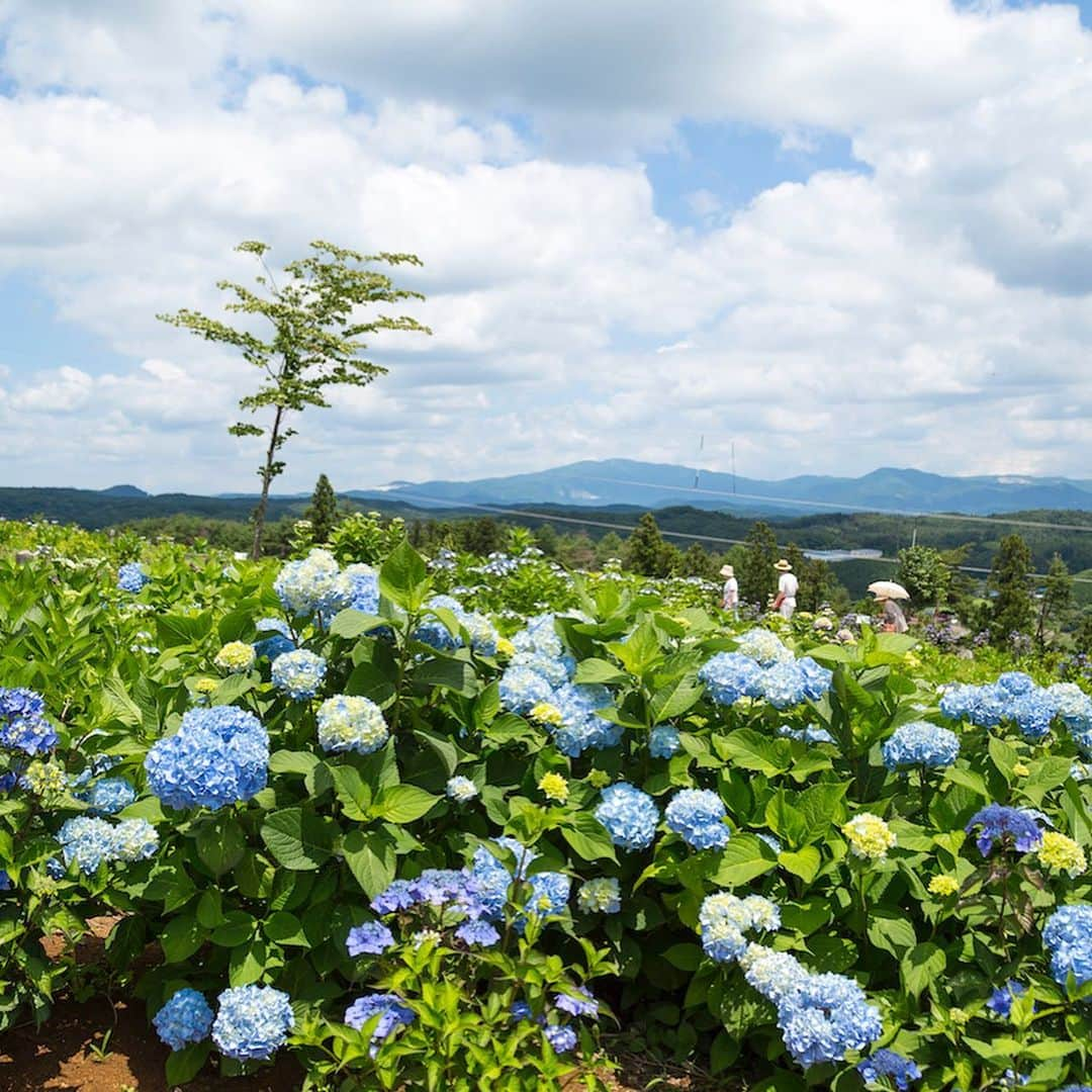 福島県のインスタグラム