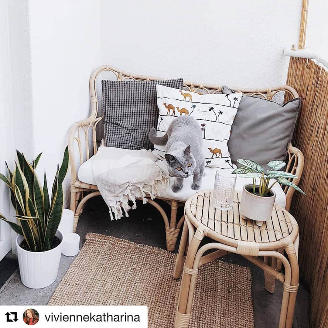 IKEA Austriaさんのインスタグラム写真 - (IKEA AustriaInstagram)「Ein kleines Makeover später hat sich @viviennekatharina ihren Balkon zum persönlichen Paradies gemacht. 🌻💪 Gibt es in deinem Zuhause noch Sommer-Projekte? ☀️ #IKEAat #Regram // MASTHOLMEN  Beistelltisch, 42x42 cm  Normalpreis € 39,99 Letzte Chance € 19,99」7月3日 17時38分 - ikeaaustria