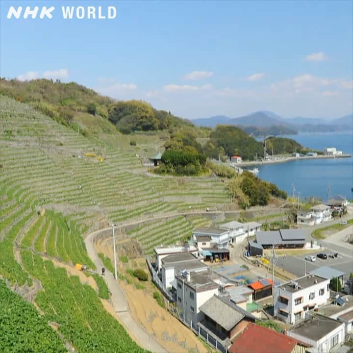 NHK「WORLD-JAPAN」のインスタグラム