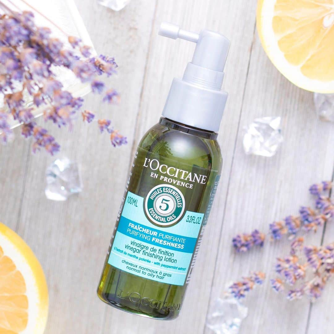 L'OCCITANE en Provenceさんのインスタグラム写真 - (L'OCCITANE en ProvenceInstagram)「ハーバルビネガーが真夏の頭皮ストレスを解消✨!? プロヴァンスに古く伝わる知恵から生まれた、爽やかな頭皮とサラサラの髪をキープするトリートメントが登場！﻿ ﻿ 頭皮のベタつきや匂いが気になる暑い夏に。﻿ ﻿ プロヴァンスで昔から夏のヘアケアに使われてきた、﻿ “ハーバルビネガー”のヘアケアアイテムが登場です🙌﻿ ﻿ 🌿ハーバルビネガーって？﻿ ﻿ アップルビネガー（りんご酢）に﻿ ローズマリー、セージなどのハーブを漬け込んだもの。﻿ 酢酸が痛んでめくれたキューティクルを引き締め、﻿ 髪内部の水分を閉じ込めて、指通りの良いツヤ髪へ。﻿ ﻿ そんなハーバルビネガーを使った﻿ 洗い流さないヘアトリートメント、﻿ “ピュアフレッシュネス シャイニングビネガー”﻿ には、夏の髪にうれしい3つの効果が！﻿ ﻿ 🌿スカルプケア﻿ 頭皮を保湿し、紫外線からケア﻿﻿ ﻿ 🌿うるサラ髪﻿ キューティクルを整え、ツヤサラ髪へ﻿﻿ ﻿ 🌿いつでもすっきり﻿ シャンプーしたてのリフレッシュ感﻿﻿ ﻿ ﻿ 地肌にも塗布しやすいノズルタイプもポイント。﻿ お出かけ先でも地肌と髪をケアし、暑い日も爽やかに！﻿ ﻿ ぜひこの驚きの爽快感をあなたの頭皮と髪で実感して✨﻿ ロクシタン店舗では、商品を実際にお試しいただけます💕 ﻿ #ピュアフレッシュネス #ピュアフレ #洗い流さないトリートメント #トリートメント #ダメージヘア  #サラサラ #ダメージ補修 #ヘアオイル #女子力 #コスメ #おすすめコスメ #キレイになりたい #夏コスメ #頭皮ケア #ヘアケア #美髪 #ヘアスタイル #ヘアケア #香り #癒し #ご褒美コスメ #すっきり #ハーバルビネガー #キレイになりたい #ロクシタン #コスメマニア #香りのある暮らし  #美意識 #いい香り #スカルプケア #ツヤ髪 #LOccitane」7月3日 18時05分 - loccitane_jp