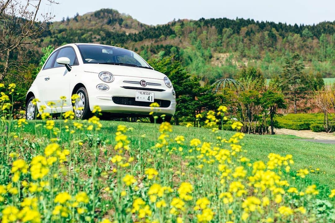 sayoko_betseyさんのインスタグラム写真 - (sayoko_betseyInstagram)「with FIAT Cinquecento🚙 . . 輸入車ディーラーのIMPORT PLUS 様が発行している冊子 IMPORT PLUS LIFE vol.10 にナビゲーターとして載せて頂いています  実際に大好きな北海道をドライブ& 撮影 楽しさしかない1日でした♡ 由仁ガーデンさんの他、周辺の素敵なお店も紹介されてます。 そしてお洒落なチンクエチェントの内装にもキュンキュンです🥺 . . 冊子は店舗にも置かれているそうなので、お店で見てみてね^ ^  photo by @takumi_sato17  #FIAT #cinquecento #picnic #ルパンの愛車 #チンクエチェント #インポートプラス #北海道 #北海道旅行 #ドライブ #北海道ドライブ #イタリア車 #輸入車 #ピクニック #由仁町 #千歳 #ゆにガーデン #週末野心 #バースデープランナー #札幌バースデープランナー #北海道に恋してる」7月3日 18時32分 - sayoko_betsey