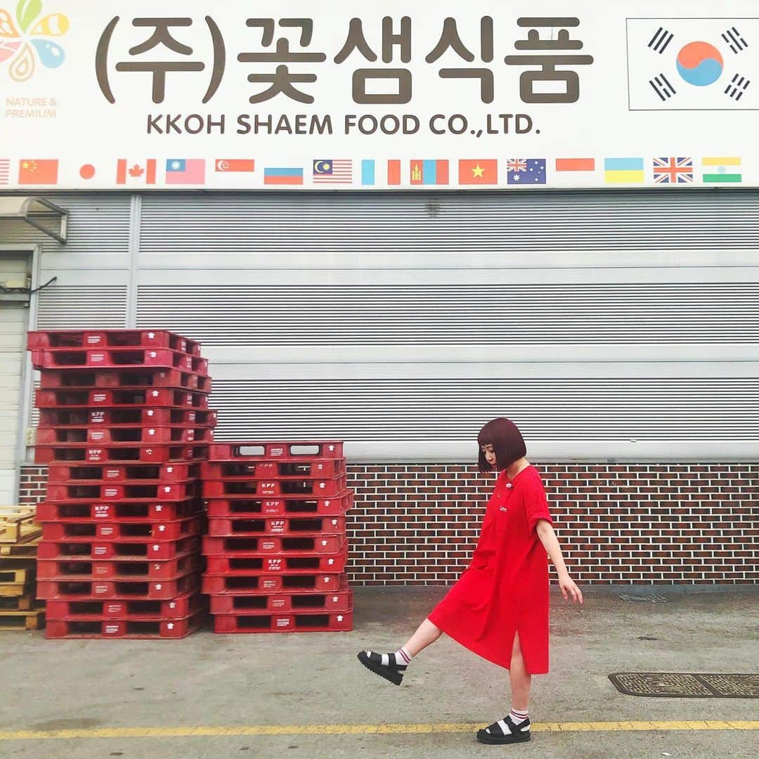 小鳥遊しほさんのインスタグラム写真 - (小鳥遊しほInstagram)「韓国食材の産地や工場をめぐる撮影で初韓国ー！初なのー！8カ国目ー！(ドイツ・スイス・フランス・イギリス・ベトナム・台湾・タイ→韓国！)旅行たのしいーーーーぃぃい . 今回たくさんの会社さんが関わっているので総勢15人以上でバス貸切。わいわいと修学旅行のよう。 台本覚えて喋るの難しいけどやりがいある📕 . 1・2枚目は最初の取材先。3枚目は昼食に冷麺に食らいついてる図。4・5枚目は冷麺と餃子。6枚目はついさっきの、撮影終了だぜ！のみんなの背中🥺 . 夕食もおいしいんだろな〜 おつかれさまです。 明日からもがんばります🙌 . #韓国 #撮影 #ゆず茶 #冷麺 #餃子 #韓国料理 #korea #koreanfood #kfood」7月3日 18時46分 - shihotakanashi