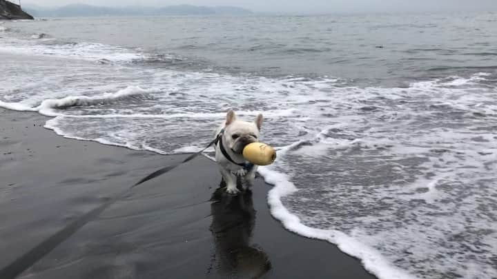 父べえのインスタグラム：「海遊び！」