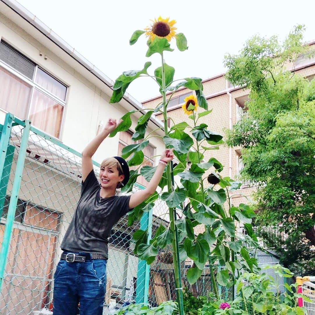 越野翔子さんのインスタグラム写真 - (越野翔子Instagram)「おーーっきなひまわり(◍•ᴗ•◍) 今日も元気出していこう！！ ・ #kbs京都 #大阪市港区 #歌手 #タレント #越野翔子 #弁天町 #ポスター #宣伝 #地元 #ひまわり」7月4日 4時13分 - syoko.koshino