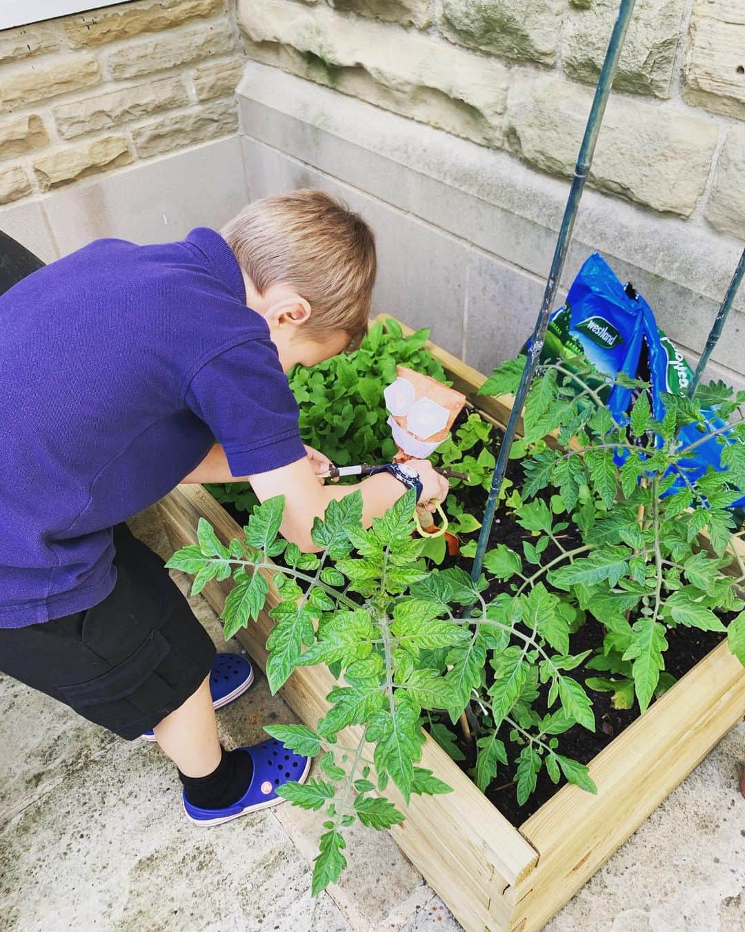 ジェシカ・エニス＝ヒルさんのインスタグラム写真 - (ジェシカ・エニス＝ヒルInstagram)「Growing some yummy veggies 🤞🏼and more importantly making sure his scarecrow is in the right place #homegarden #learning #summertime 🥕🍅🌶🥦」7月4日 4時40分 - jessicaennishill