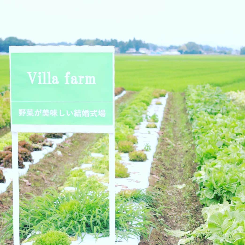 メゾン エルミタージュのグルメインスタ