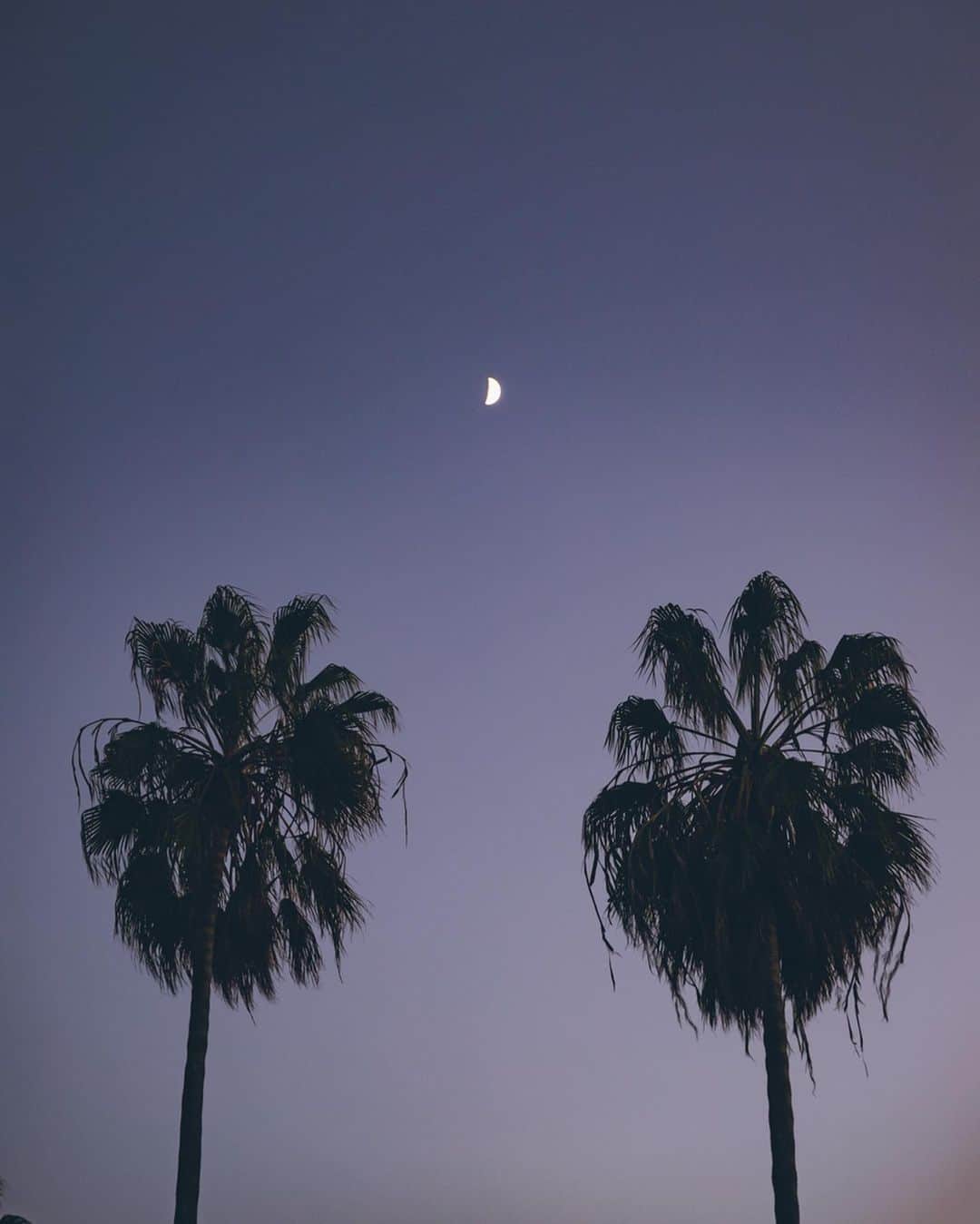 Yuma Yamashitaのインスタグラム：「California Love #inspirationcultmag」