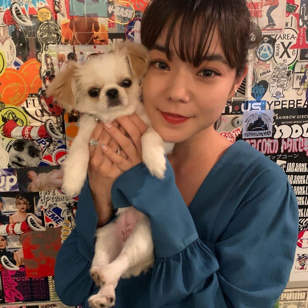 長澤メイさんのインスタグラム写真 - (長澤メイInstagram)「初めて @yuukiiidaifuku に 会えた！！😭❤️ かわいい～～🥺❤️ #今日のゆきみ」7月3日 21時56分 - xxmeixx1208