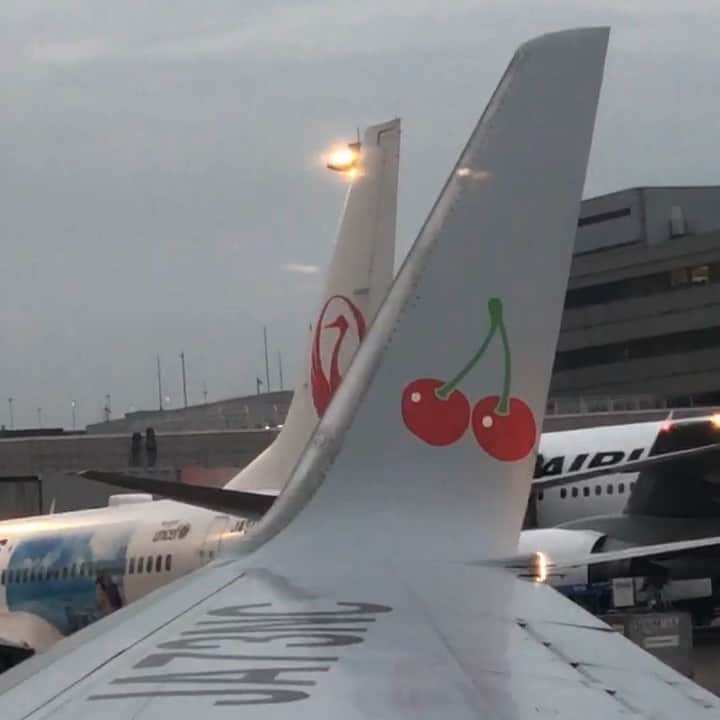 えみ姉のインスタグラム：「ㅤ ㅤ 🍒🍒 ㅤ ㅤ」
