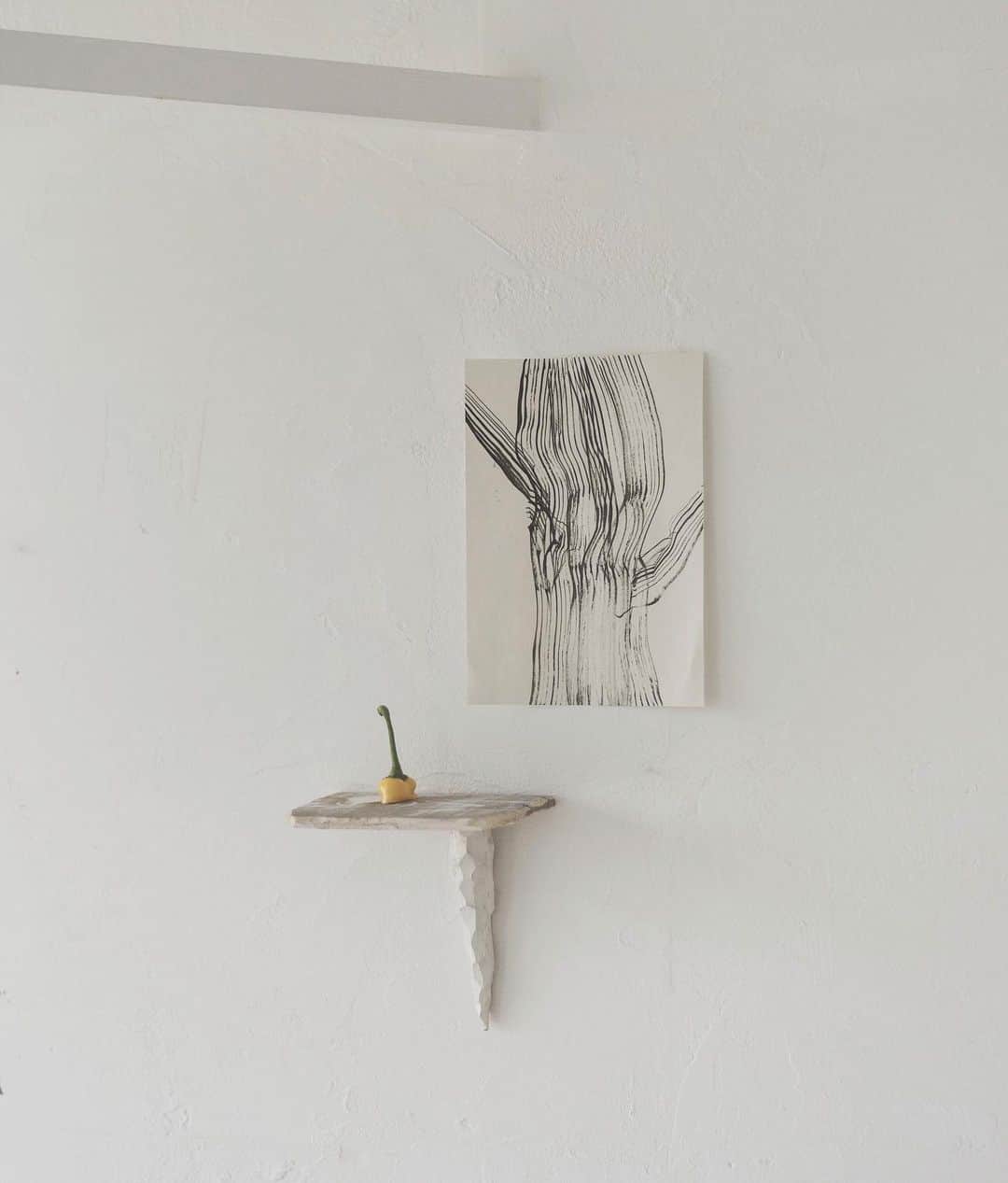 のインスタグラム：「小さな壁付けの棚つくりました。 #interior #インテリア #shelf #renovation #リノベーション #パプリカ」